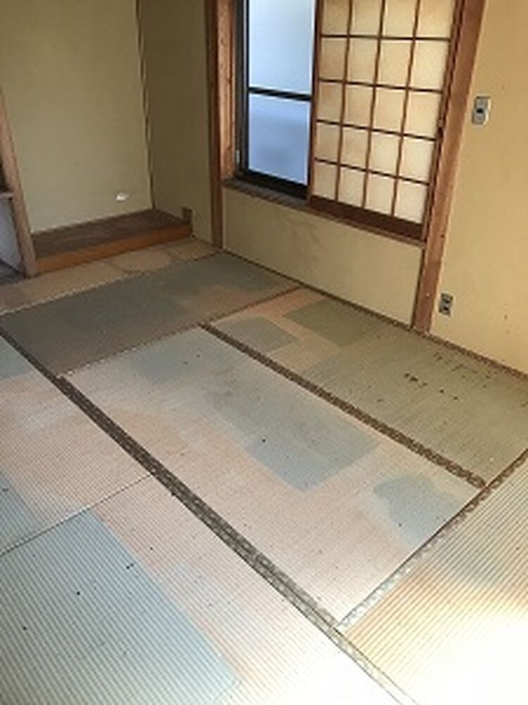画像7477